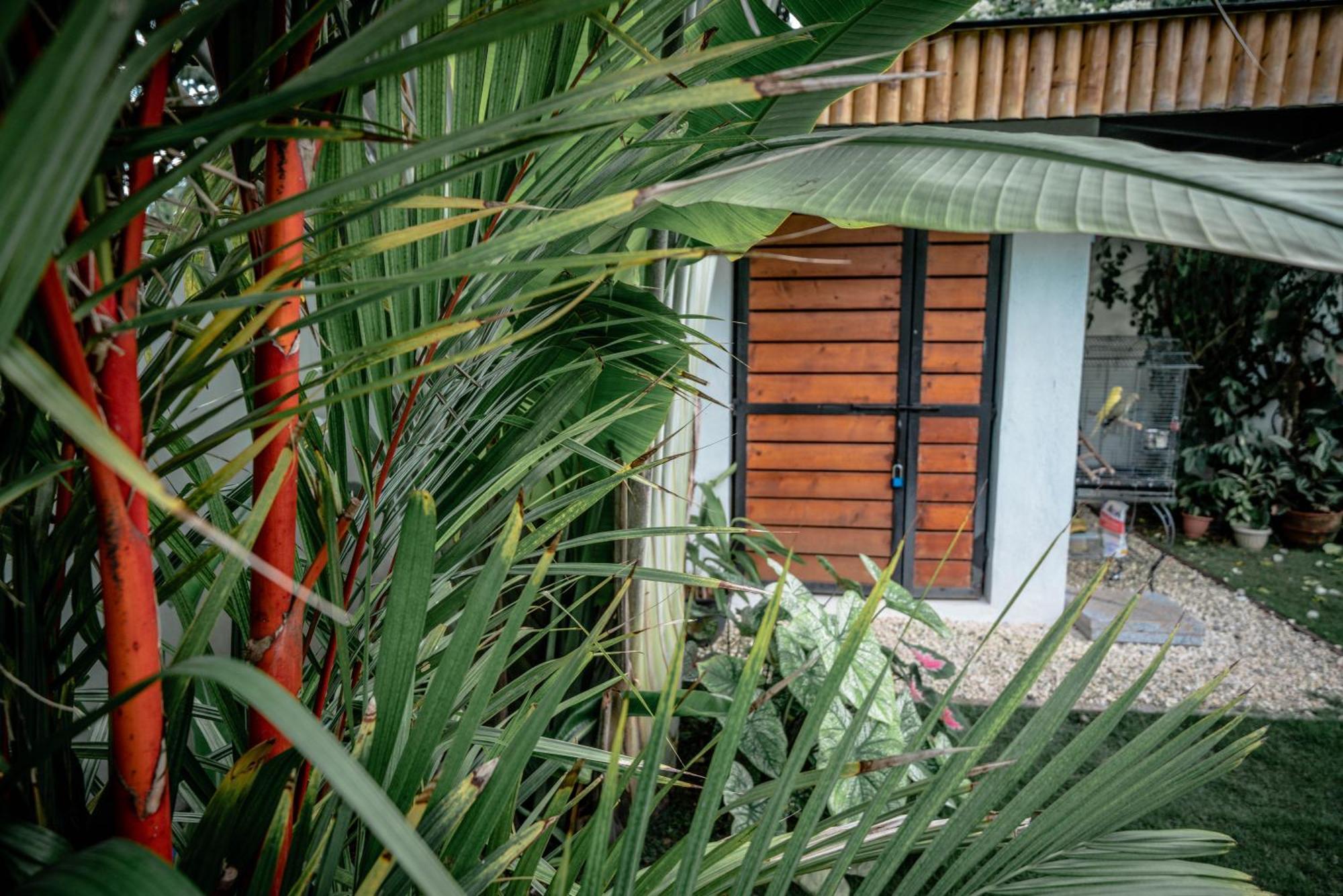 Willa Tana Mysterious Garden Panglao Zewnętrze zdjęcie