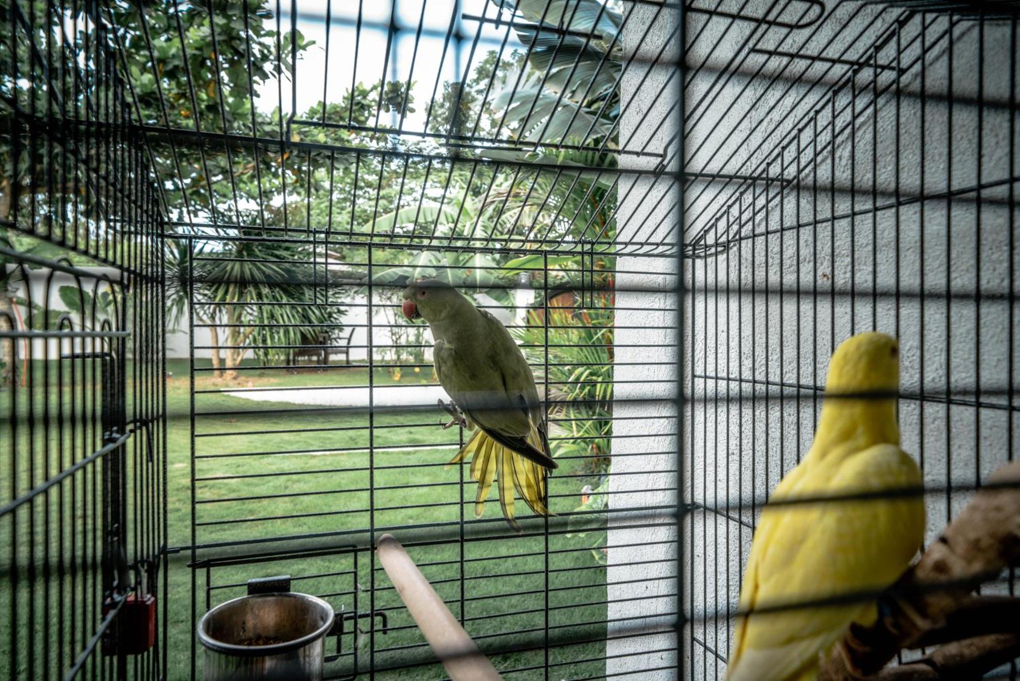 Willa Tana Mysterious Garden Panglao Zewnętrze zdjęcie