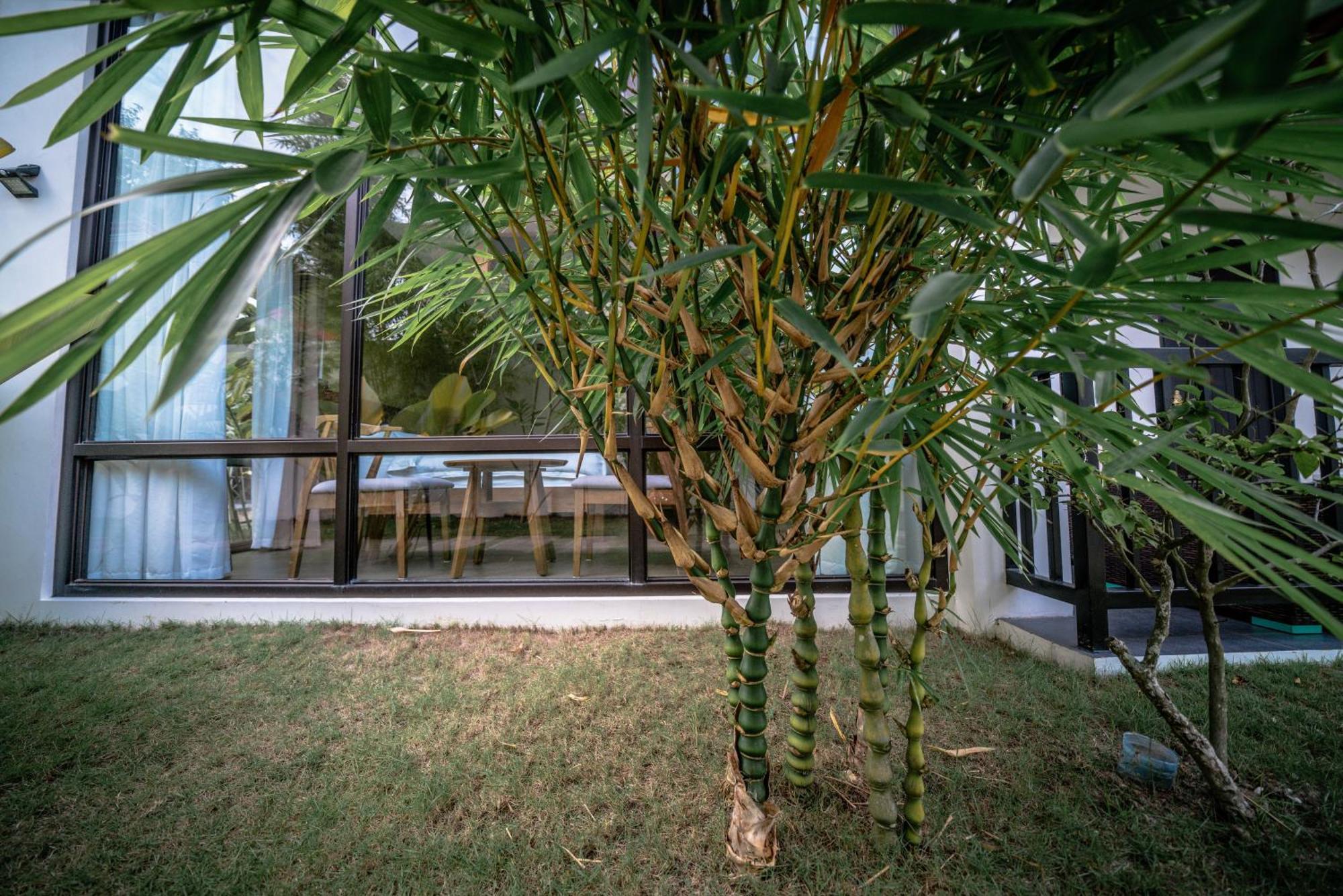 Willa Tana Mysterious Garden Panglao Zewnętrze zdjęcie