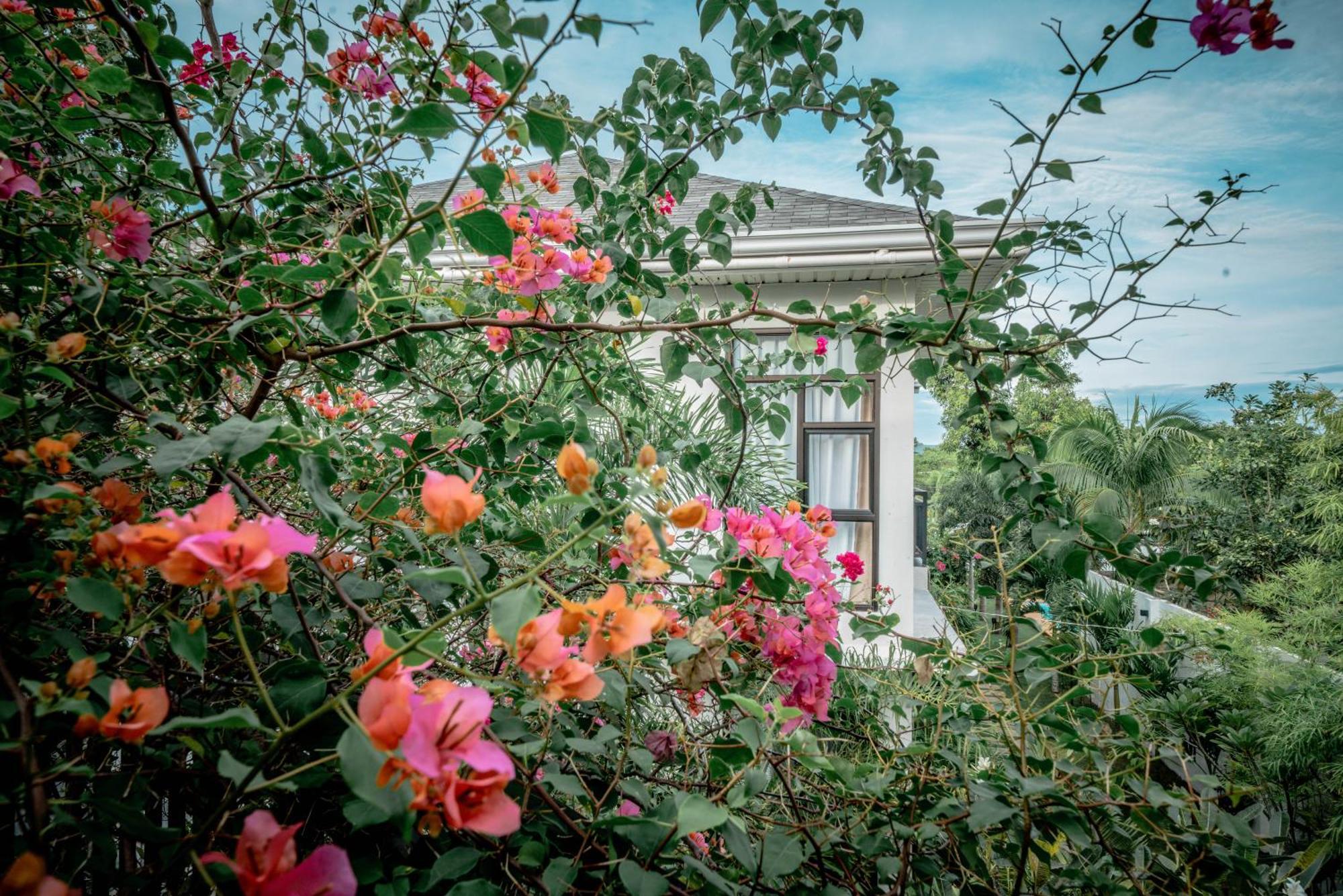 Willa Tana Mysterious Garden Panglao Zewnętrze zdjęcie
