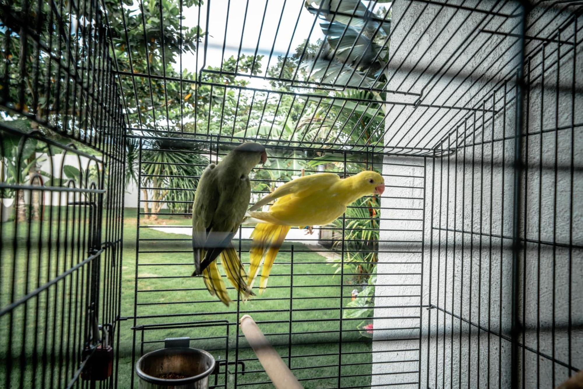 Willa Tana Mysterious Garden Panglao Zewnętrze zdjęcie